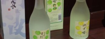 maxresdefault-55.jpg