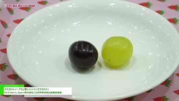 maxresdefault-8.jpg